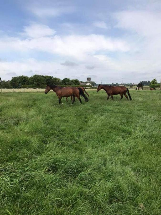 Ferme De La Forterie Verlinghem Екстер'єр фото
