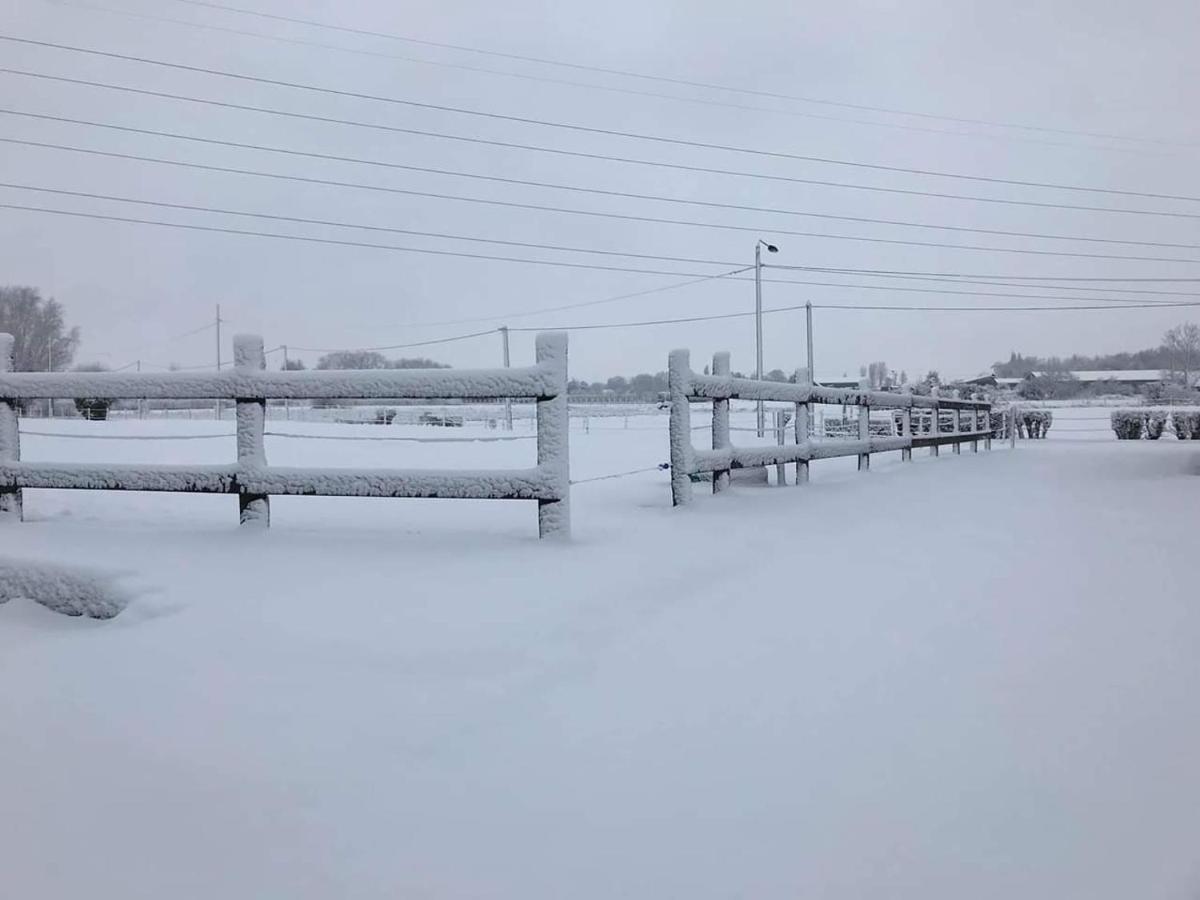 Ferme De La Forterie Verlinghem Екстер'єр фото