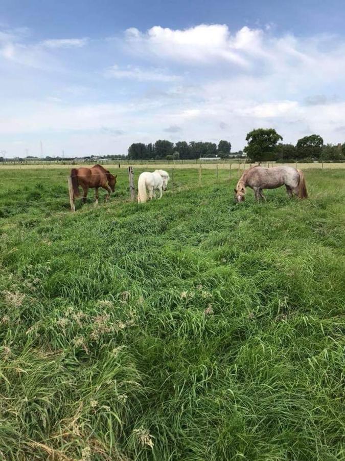 Ferme De La Forterie Verlinghem Екстер'єр фото