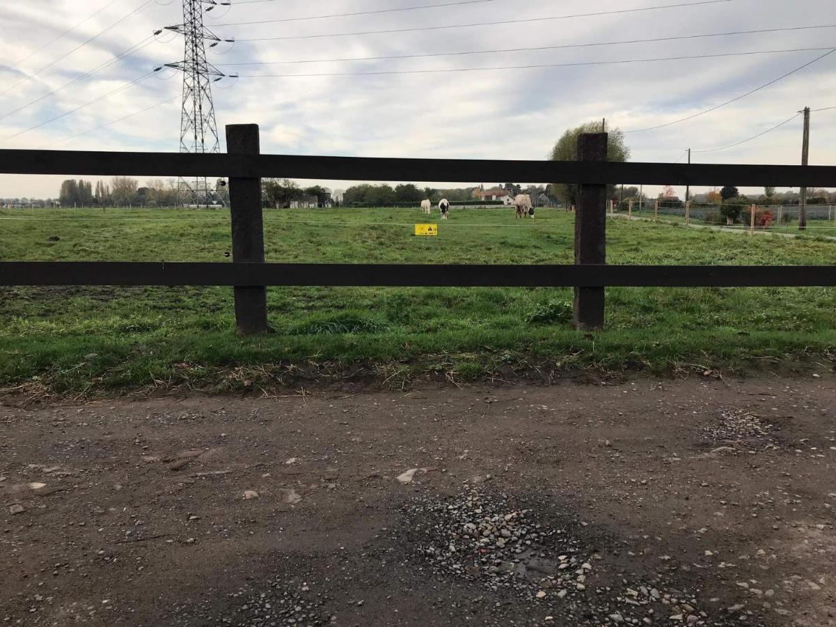 Ferme De La Forterie Verlinghem Екстер'єр фото
