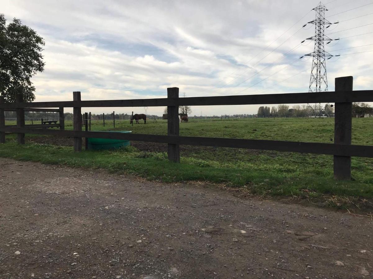 Ferme De La Forterie Verlinghem Екстер'єр фото